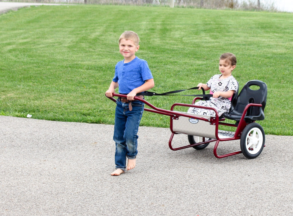 Lollipop Express Double Stroller-Cart Combo, Play Harness Included